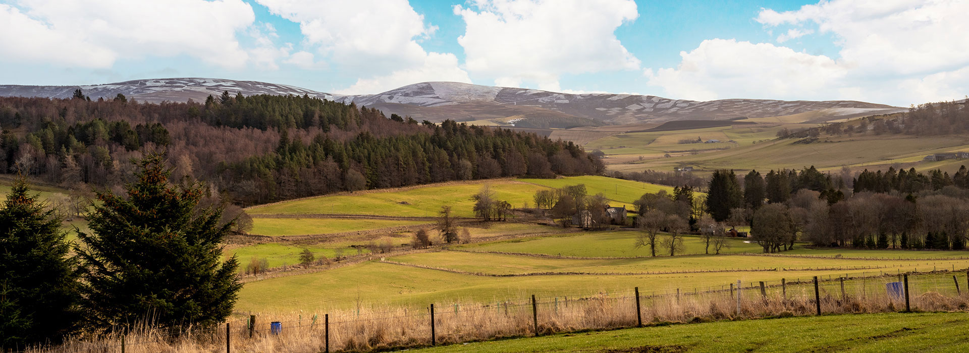 Panoramic estate view